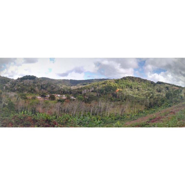 Comunidade Remanscente de Quilombo Brejo Grande de Ituberá